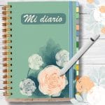 Imagen anterior del producto